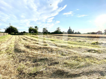 Działka Sprzedaż Kolanowice